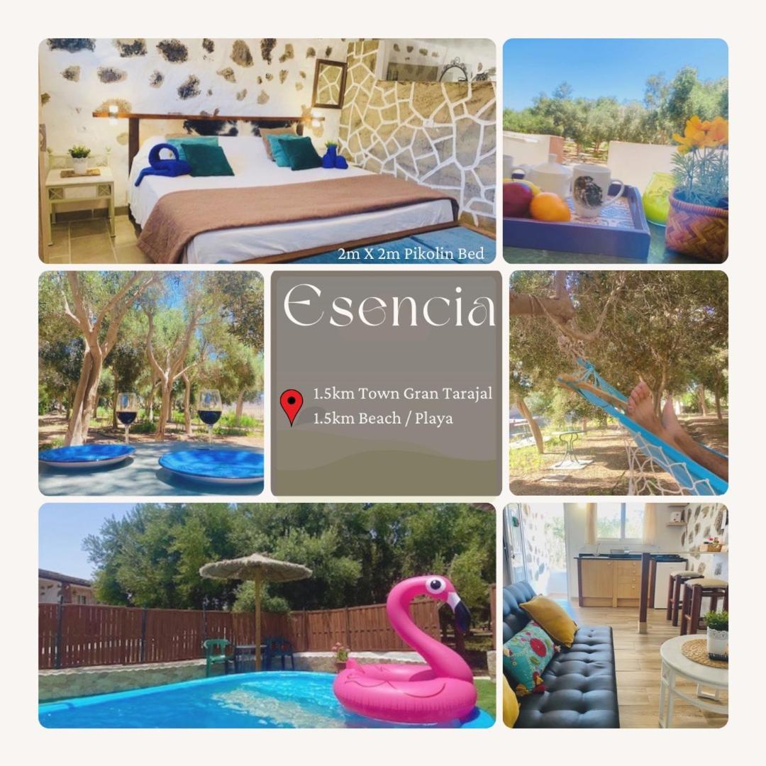 Bungalow Alma #Only Adults El Charco  Dış mekan fotoğraf